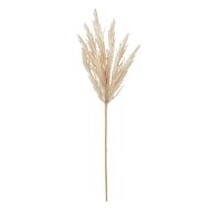 Rogue Pampas Spray Beige 76x15x8cm