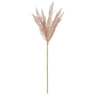 Rogue Pampas Spray Light Pink 76x15x8cm