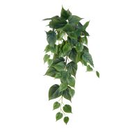 Rogue Philo Hanging Bush Green 15x15x69cm