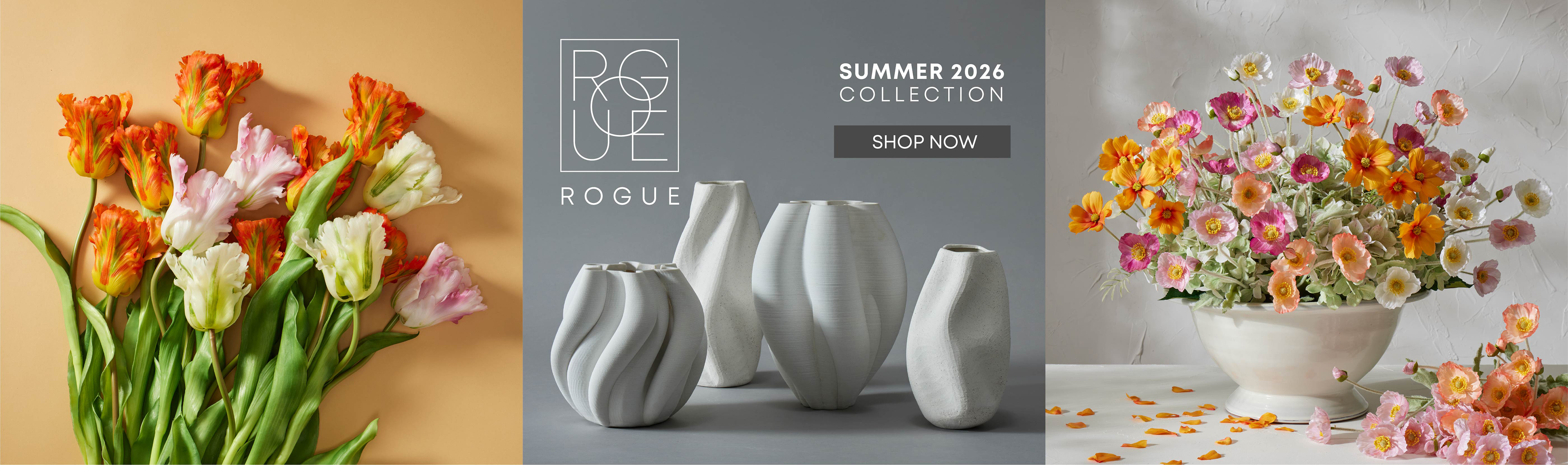 SS26 Rogue Banner-Desktop
